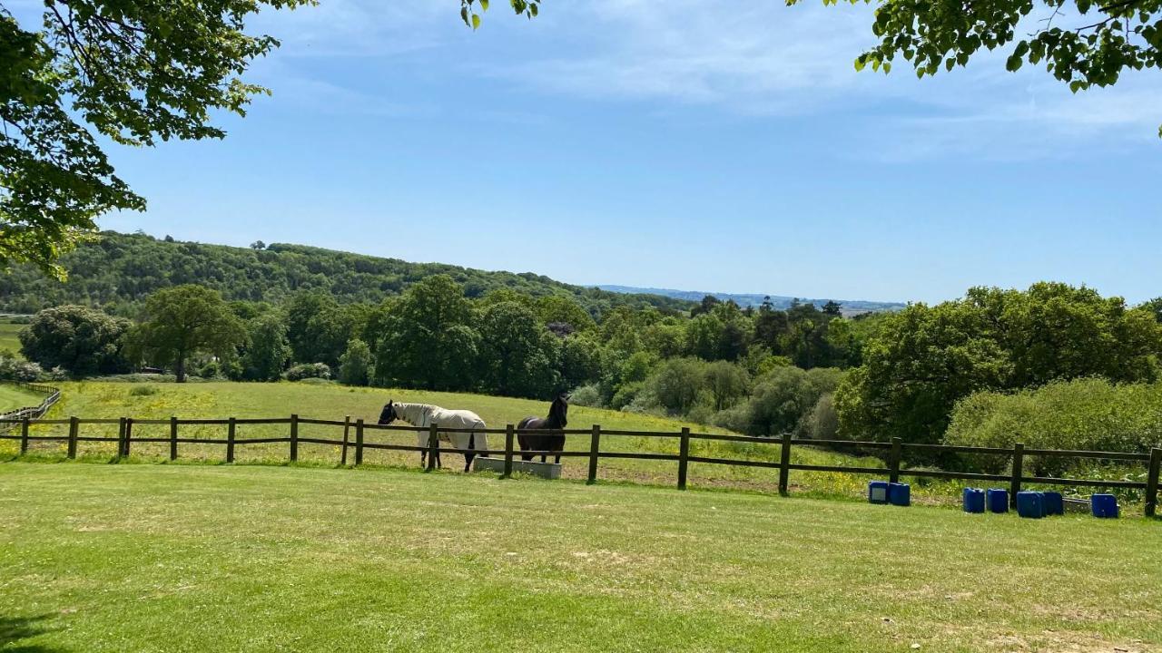 Beautiful Orchid Lodge, Finlake Resort & Spa In Devon Chudleigh المظهر الخارجي الصورة